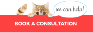 Book A Consultation - Cat Behaviorist Mieshelle