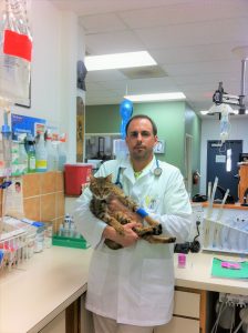 Veterinarian for The Cat Behavior Clinic holding a cat