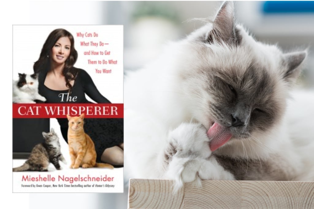 Image of Book Jacket The Cat Whisperer and a Siamese Cat | Mieshelle Nagelschneider | Cat Behaviorist