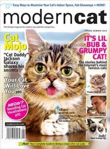 Modern-Cat-Magazine-222x300-1